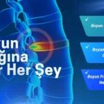 boyun fıtığı nedir