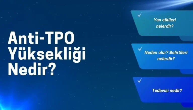 Anti-TPO Yüksekliği Nedir?