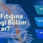 bel fıtığına hangi bölüm bakar
