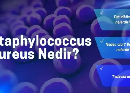 staphylococcus aureus nedir