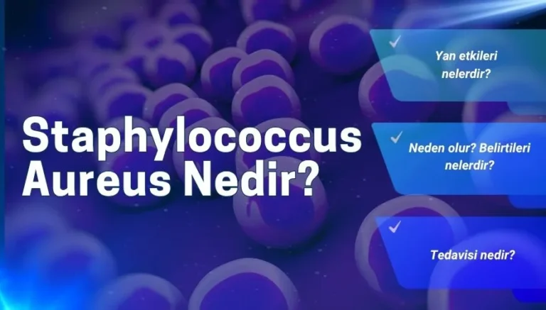 Staphylococcus Aureus Nedir? Neden Olur? Tedavi Yöntemleri